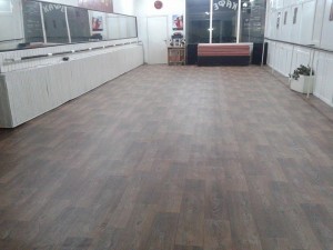 Snimka Zala